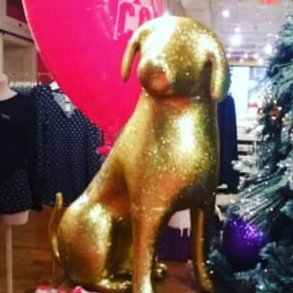 Major iso vs pink display dogs - Picture 2 of 3